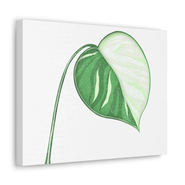 Monstera Albo Canvas | Large Tropical Leaf Artwork - Matte Finish Canvas Art Print - Laura Christine Photography & Design