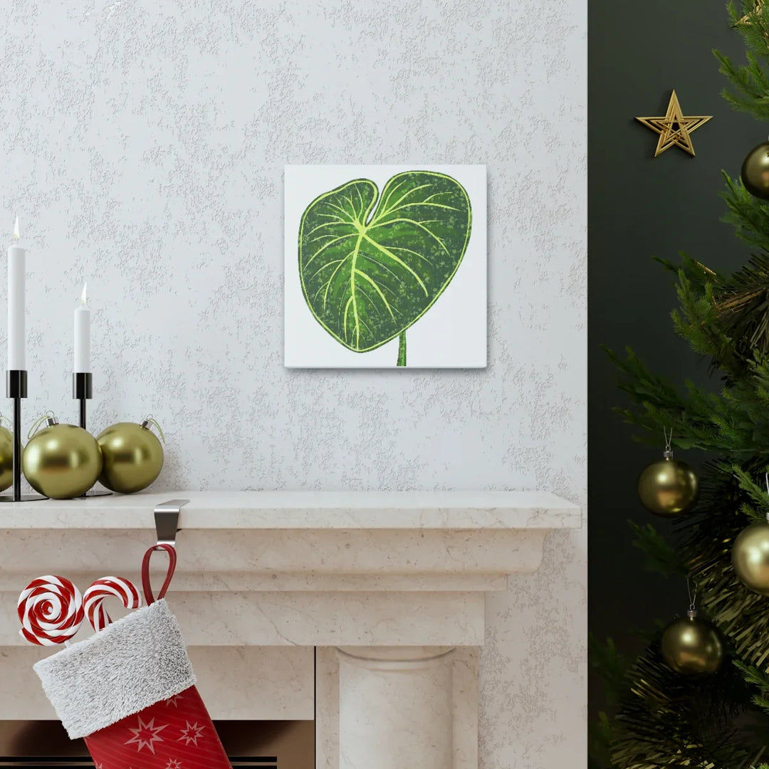 Philodendron Gloriosum Canvas - Stretched Canvas Art Print | Matte Indoor Wall Art - Laura Christine Photography & Design