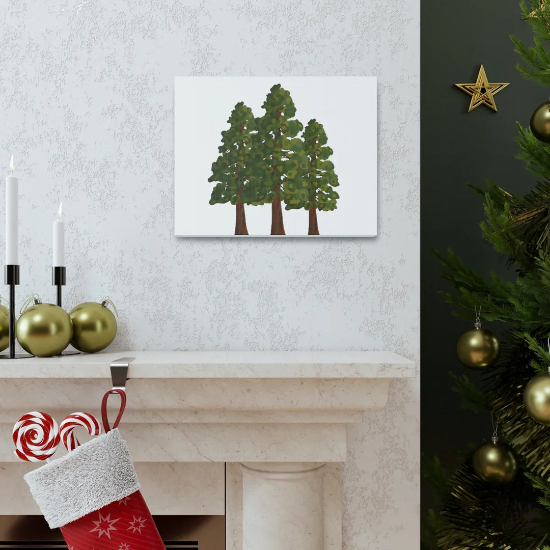 Coastal Redwoods Canvas - Stretched Cotton Canvas Art Print | Matte Finish Wall Hanging Artwork