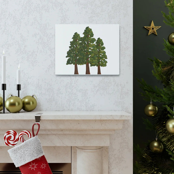 Coastal Redwoods Canvas - Stretched Cotton Canvas Art Print | Matte Finish Wall Hanging Artwork