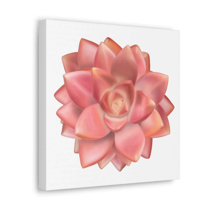 Graptosedum 'California Sunset' Succulent Canvas, Canvas, Laura Christine Photography & Design, Art & Wall Decor, Canvas, Hanging Hardware, Home & Living, Indoor, Laura Christine Photography & Design, laurachristinedesign.com