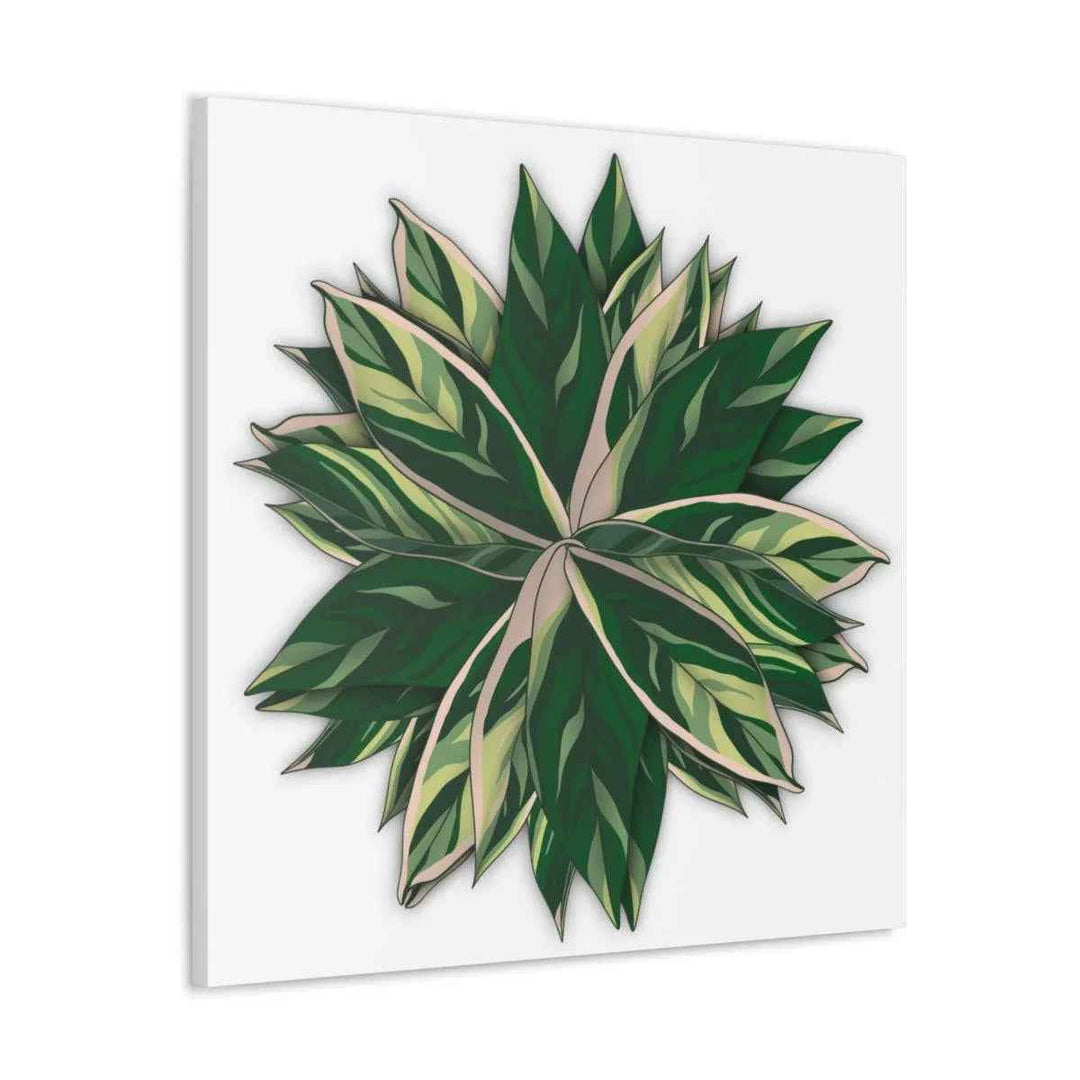 Stromanthe Triostar Canvas - Pastel Stripe Canvas Art Print With Vivid Color Artwork