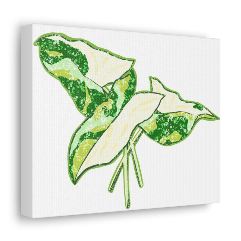 Marble Syngonium Canvas