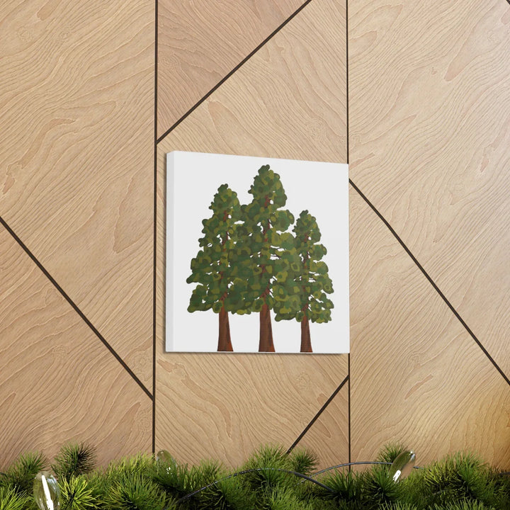 Coastal Redwoods Canvas - Stretched Cotton Canvas Art Print | Matte Finish Wall Hanging Artwork