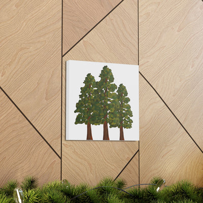 Coastal Redwoods Canvas