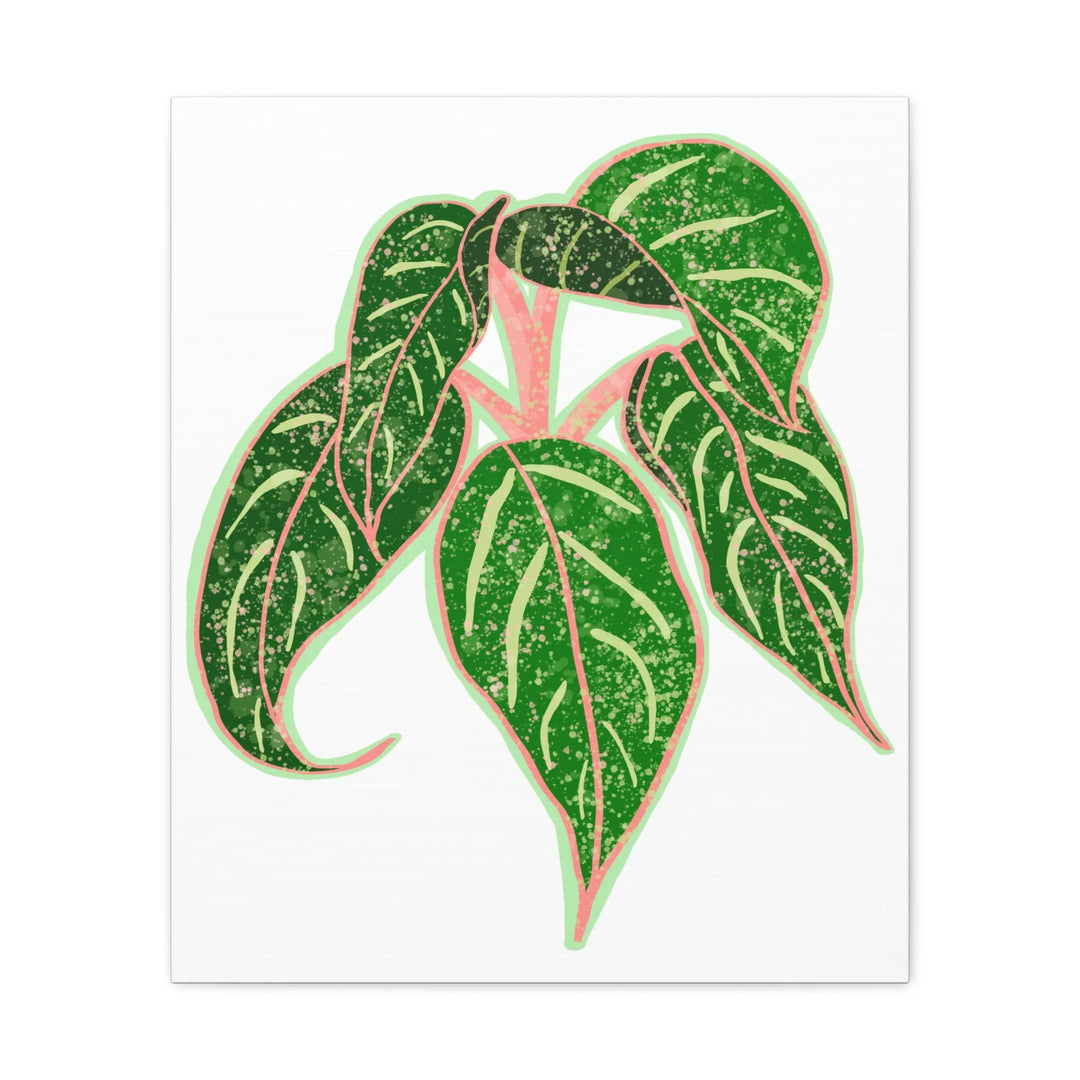 Aglaonema Plant Canvas | Sparkling Plant Artwork - Colorfast Canvas Art Print Decor