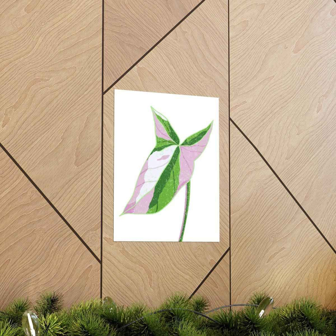 Syngonium Tricolor Print – Botanical Wall Art | Variegated Leaf Poster Unframed