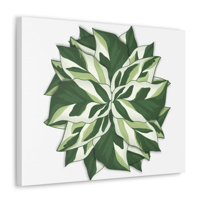 Calathea White Fusion Canvas, Canvas, Laura Christine Photography & Design, Art & Wall Decor, Canvas, Hanging Hardware, Home & Living, Indoor, Laura Christine Photography & Design, 