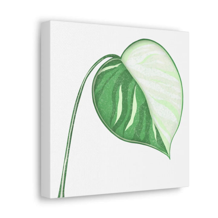 Monstera Albo Canvas | Large Tropical Leaf Artwork - Matte Finish Canvas Art Print - Laura Christine Photography & Design