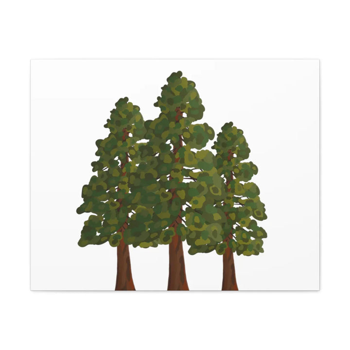 Coastal Redwoods Canvas - Stretched Cotton Canvas Art Print | Matte Finish Wall Hanging Artwork