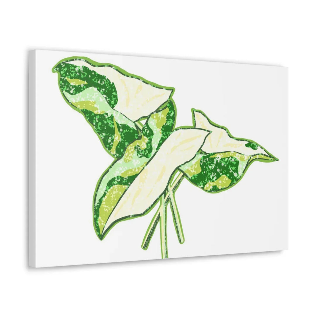 Marble Syngonium Canvas - Botanical Canvas Art Print | Durable Cotton Matte Finish - Laura Christine Photography & Design