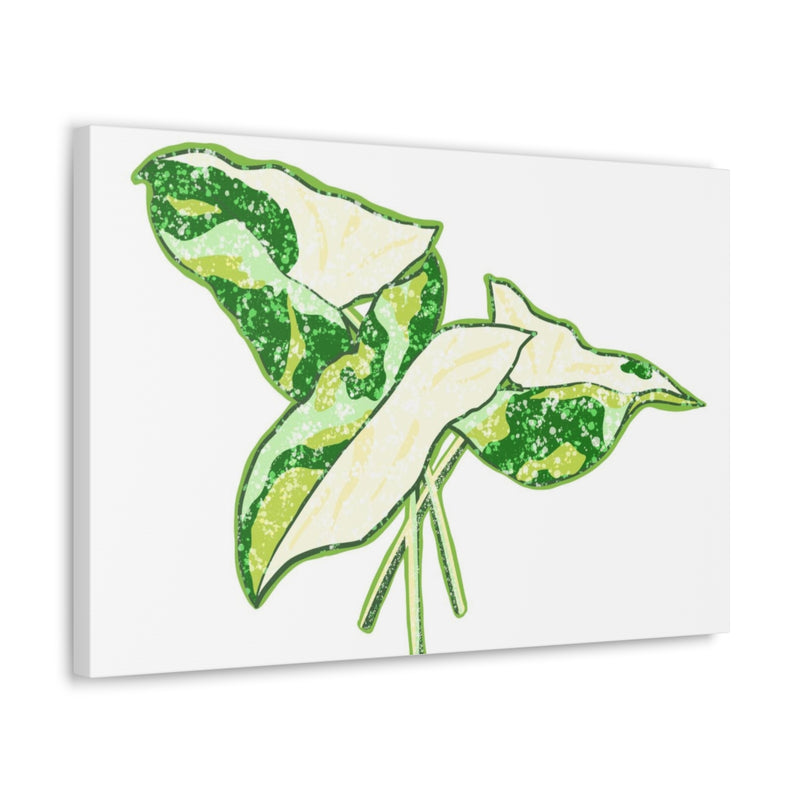 Marble Syngonium Canvas