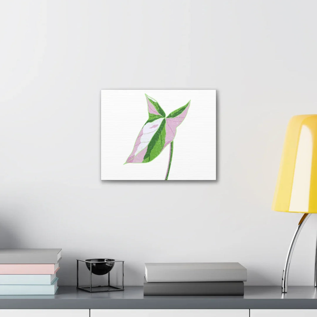 Syngonium Tricolor Canvas | Botanical Canvas Art Print With Matte Finish - Laura Christine Photography & Design