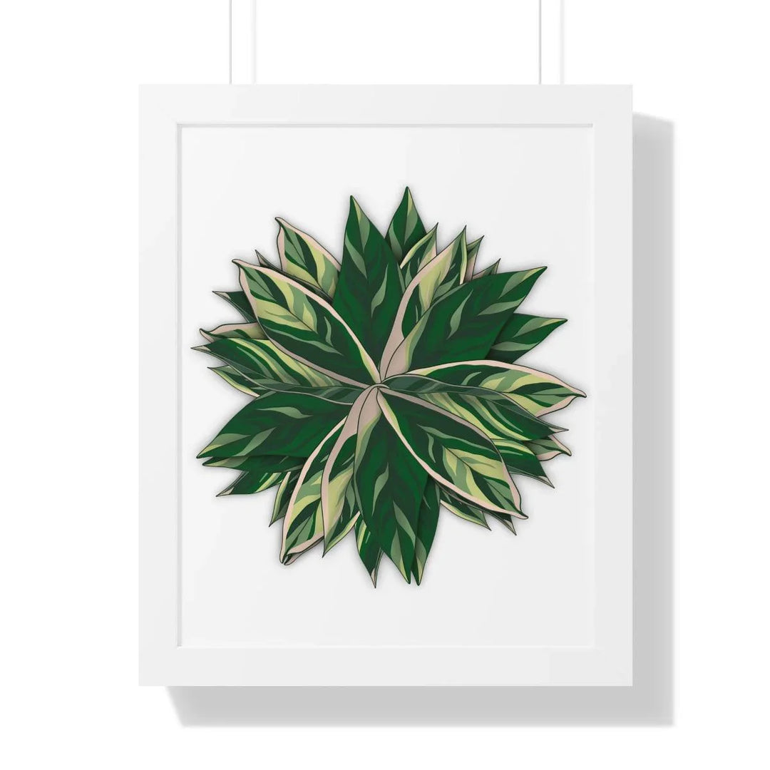 Stromanthe Triostar Framed Print, Poster, Laura Christine Photography & Design, Framed, Home & Living, Indoor, Paper, Posters, Laura Christine Photography & Design, laurachristinedesign.com