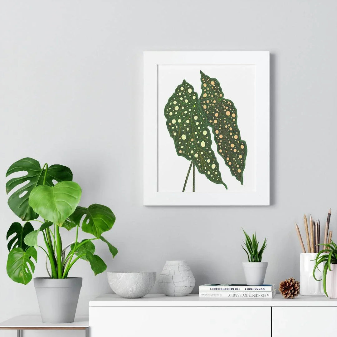 Begonia Maculata Framed Print, Poster, Laura Christine Photography & Design, Framed, Home & Living, Indoor, Paper, Posters, Laura Christine Photography & Design, laurachristinedesign.com