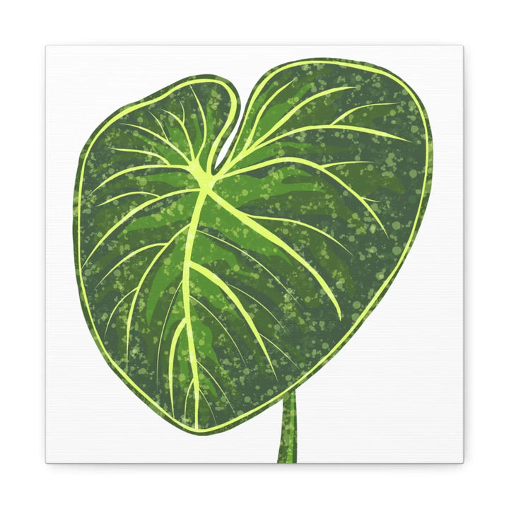 Philodendron Gloriosum Canvas - Stretched Canvas Art Print | Matte Indoor Wall Art - Laura Christine Photography & Design