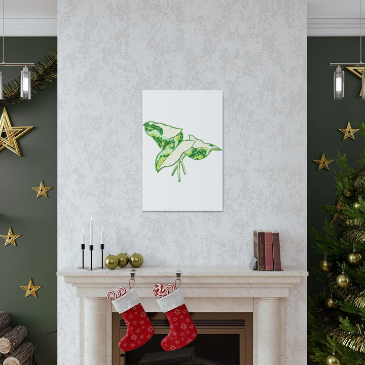 Marble Syngonium Canvas - Botanical Canvas Art Print | Durable Cotton Matte Finish - Laura Christine Photography & Design