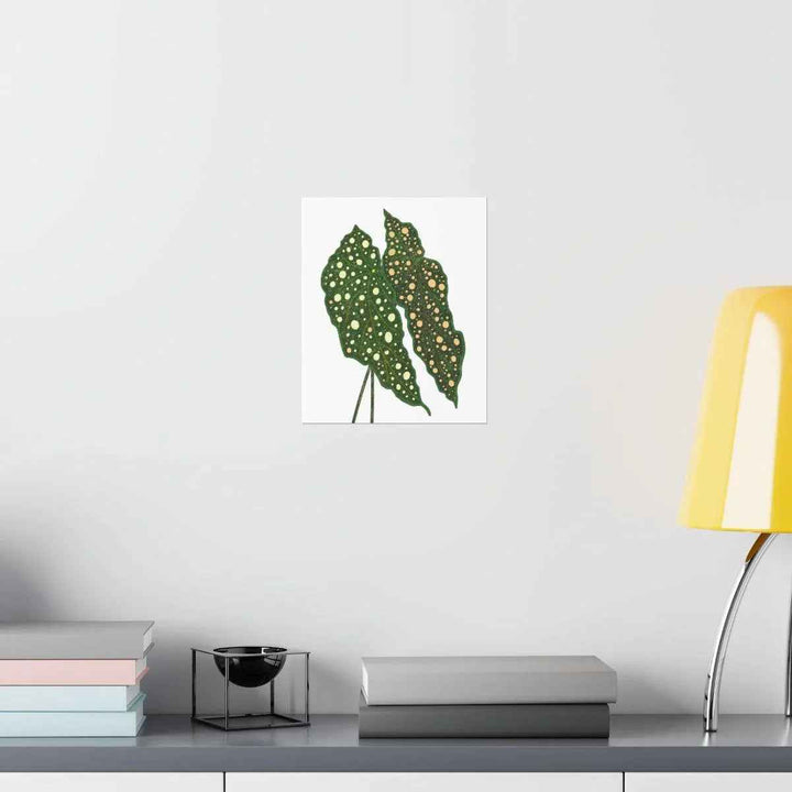 Begonia Maculata Print - Botanical Wall Art on Museum Grade Paper | Matte Finish Unframed