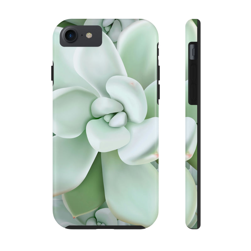 Pachyveria Haagei Succulent Phone Case, Phone Case, Printify, Accessories, Glossy, iPhone Cases, Matte, Phone accessory, Phone Cases, Samsung Cases, Laura Christine Photography & Design, laurachristinedesign.com