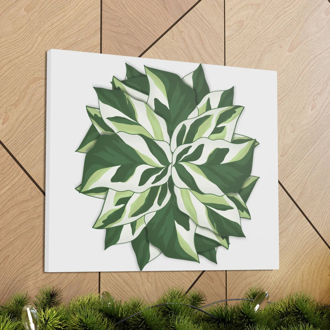 Calathea White Fusion Canvas | Indoor Wall Art - Matte Finish Botanical Canvas Art Print - Laura Christine Photography & Design