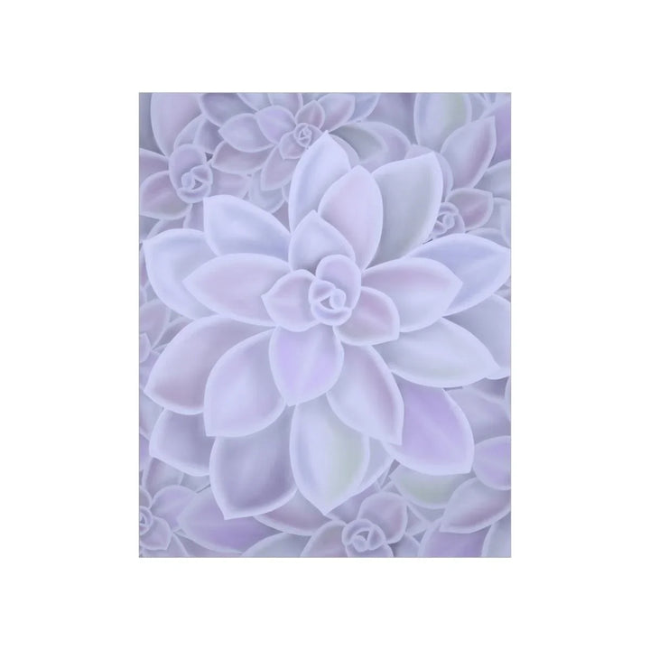 Graptopetalum 'Murasaki' Succulent Print, Poster, Laura Christine Photography & Design, Back to School, Home & Living, Indoor, Matte, Paper, Posters, Valentine's Day promotion, Laura Christine Photography & Design, laurachristinedesign.com