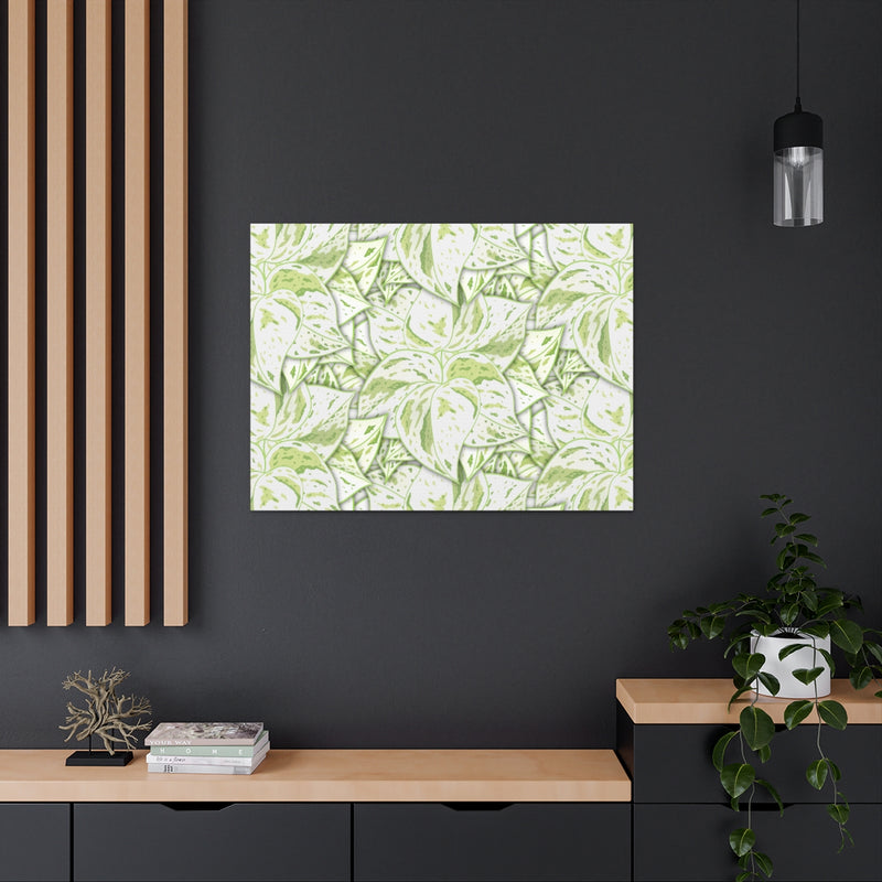 Snow Queen Pothos Canvas