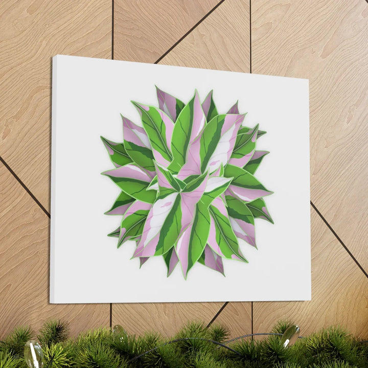Tricolor Syngonium Canvas - Durable Canvas Art Print With Matte Finish & Botanical Design - Laura Christine Photography & Design