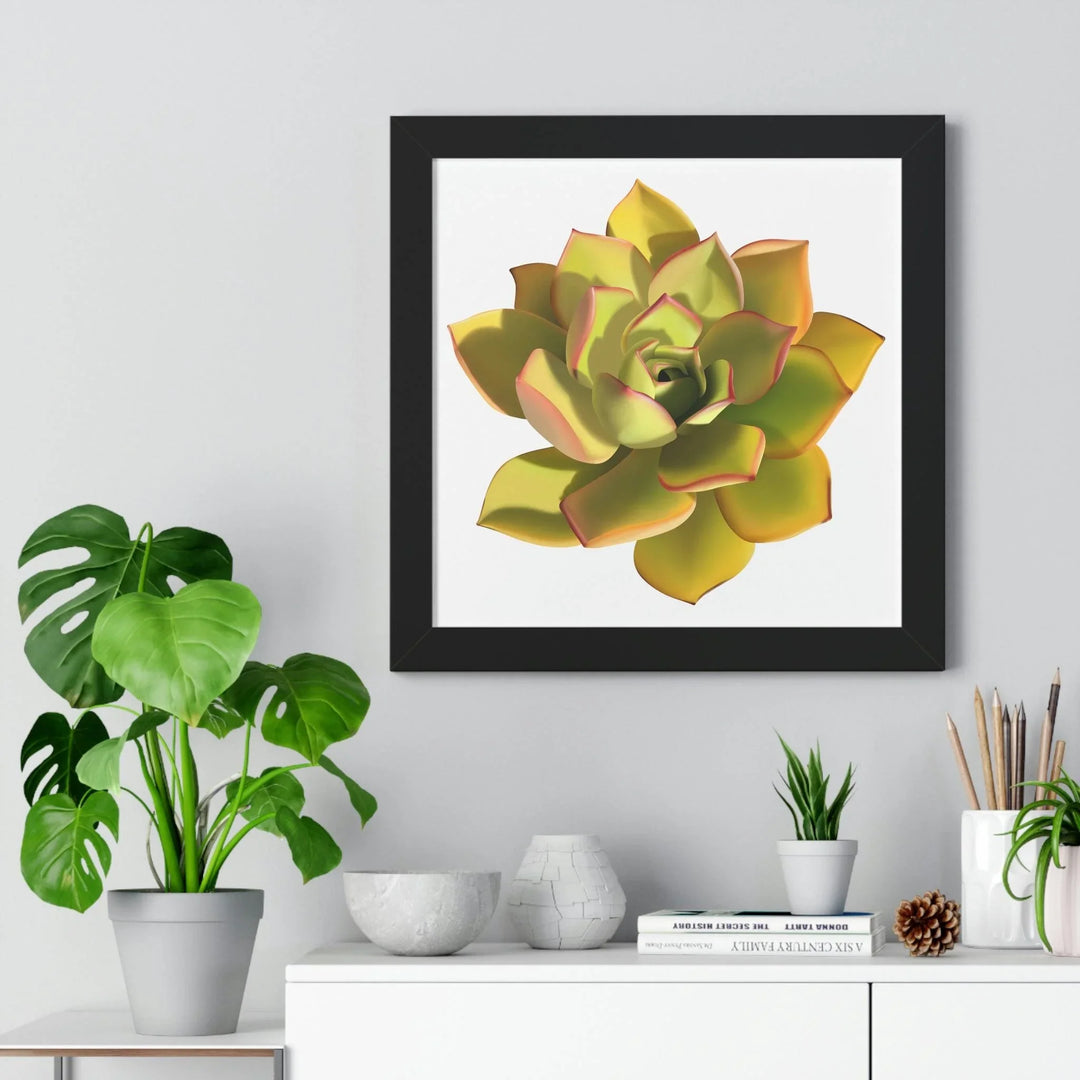 Noble Aeonium Succulent Framed Print, Poster, Printify, Framed, Home & Living, Indoor, Paper, Posters, Laura Christine Photography & Design, laurachristinedesign.com