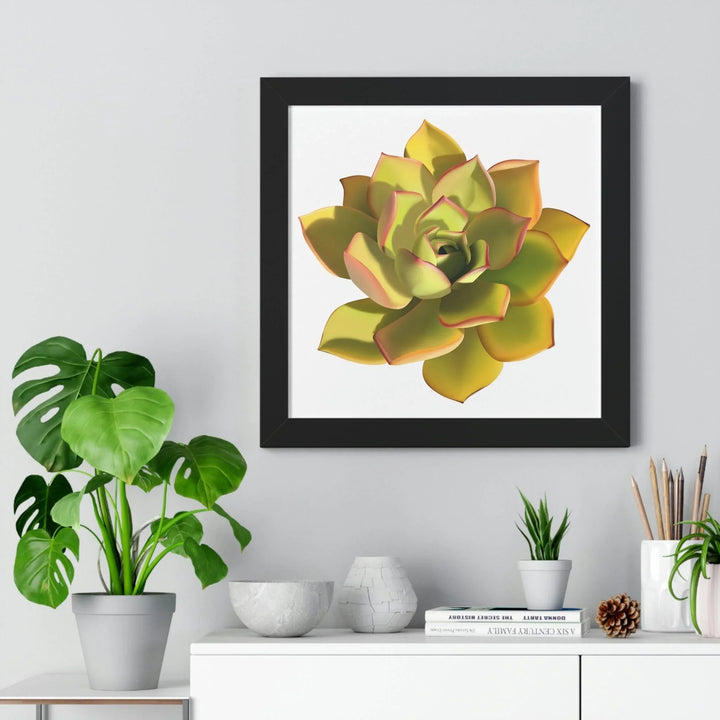 Noble Aeonium Succulent Framed Print, Poster, Printify, Framed, Home & Living, Indoor, Paper, Posters, Laura Christine Photography & Design, laurachristinedesign.com
