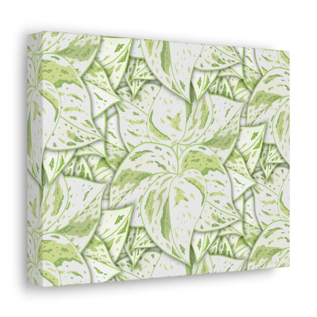 Snow Queen Pothos Canvas – Matte Finish Canvas Art Print | Variegated Botanical Wall Decor