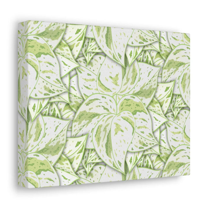 Snow Queen Pothos Canvas – Matte Finish Canvas Art Print | Variegated Botanical Wall Decor