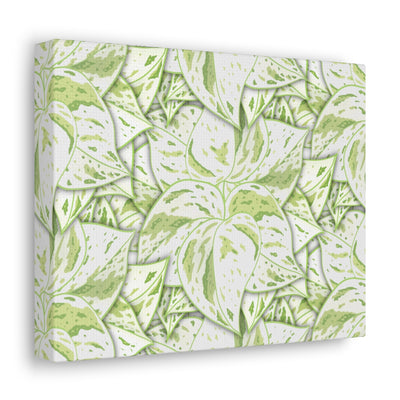 Snow Queen Pothos Canvas