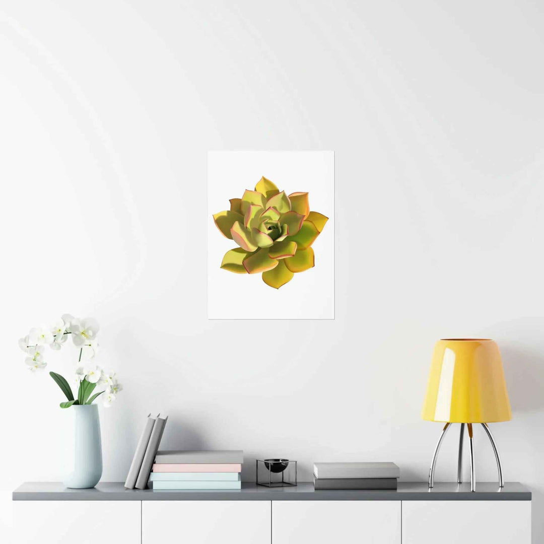 POS Aeonium Print