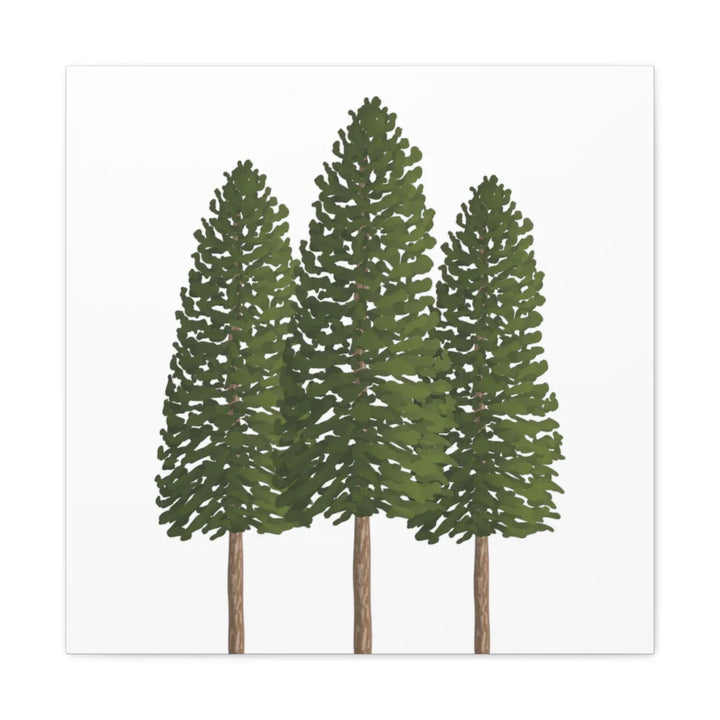 Ponderosa Pine Canvas - Large Stretched Cotton Canvas Art Print With Matte Finish