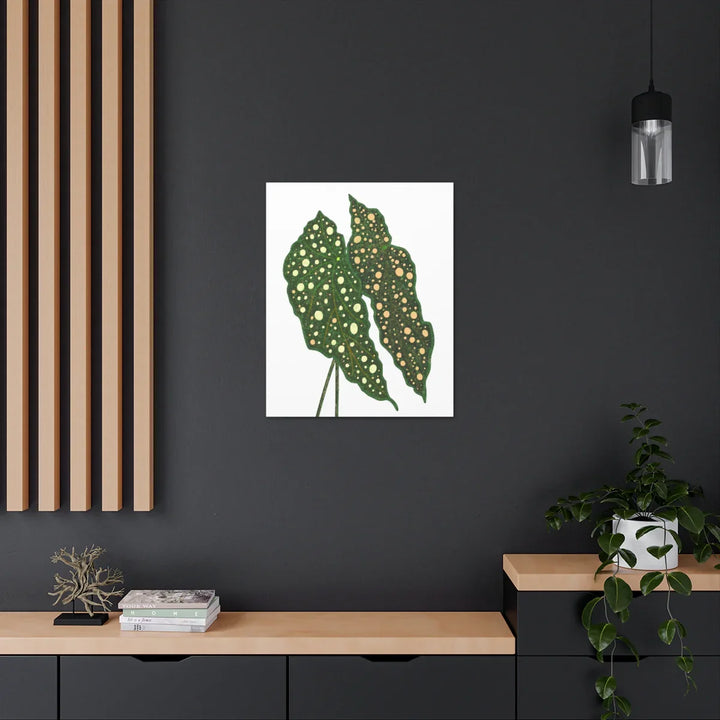 Begonia Maculata Canvas | Premium Canvas Art Print - Matte Finish, Durable Wall Decor - Laura Christine Photography & Design