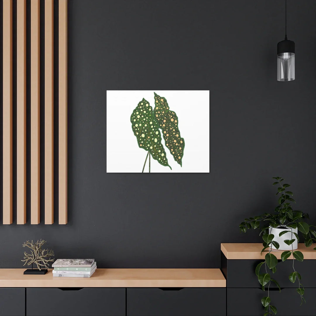 Begonia Maculata Canvas | Premium Canvas Art Print - Matte Finish, Durable Wall Decor - Laura Christine Photography & Design