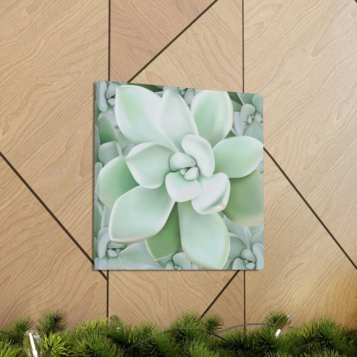 Pachyveria Haagei Succulent Pattern Canvas, Canvas, Printify, Art & Wall Decor, Canvas, Hanging Hardware, Home & Living, Indoor, Laura Christine Photography & Design, laurachristinedesign.com