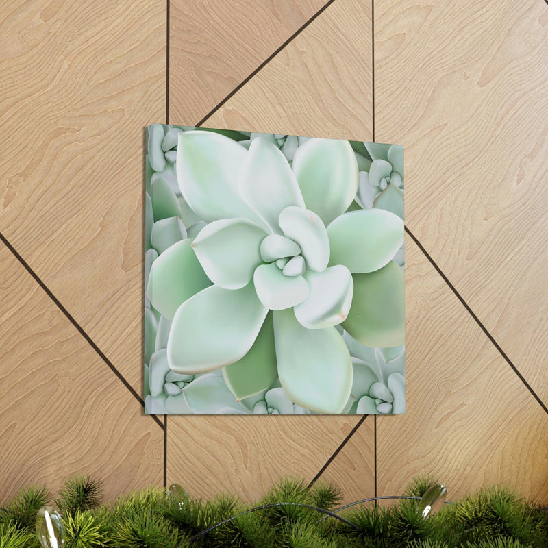 Pachyveria Haagei Succulent Pattern Canvas, Canvas, Printify, Art & Wall Decor, Canvas, Hanging Hardware, Home & Living, Indoor, Laura Christine Photography & Design, laurachristinedesign.com