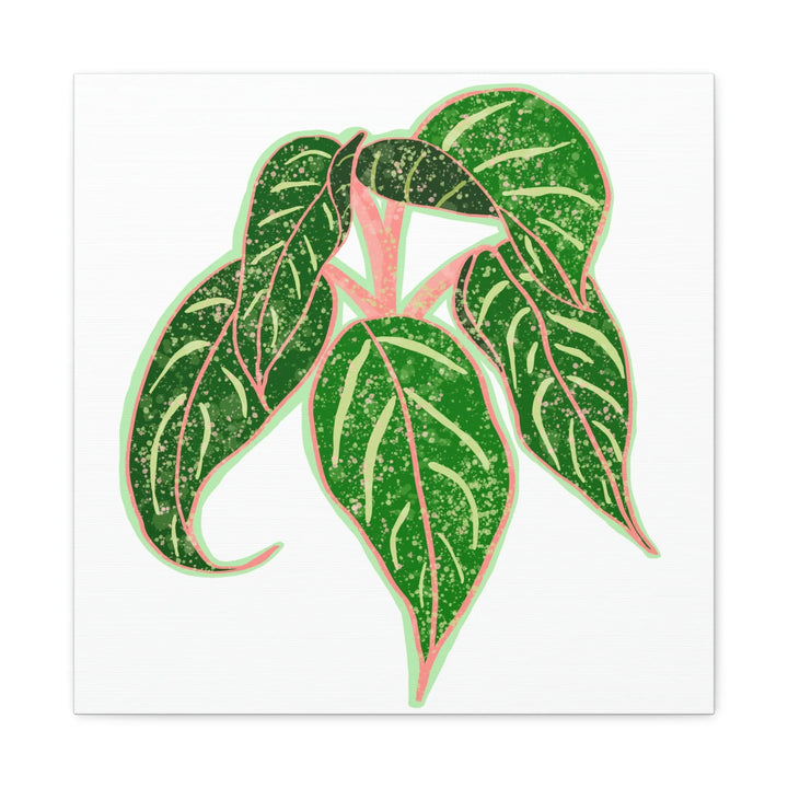 Aglaonema Plant Canvas | Sparkling Plant Artwork - Colorfast Canvas Art Print Decor