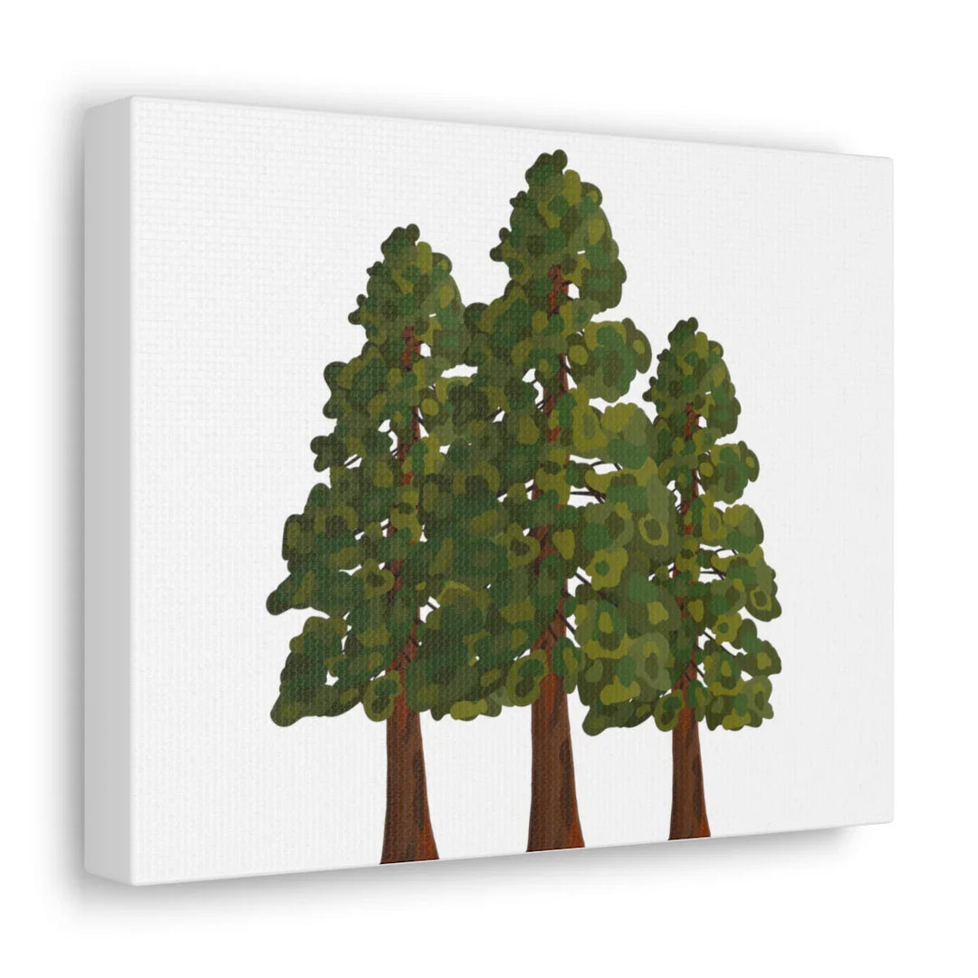 Coastal Redwoods Canvas - Stretched Cotton Canvas Art Print | Matte Finish Wall Hanging Artwork