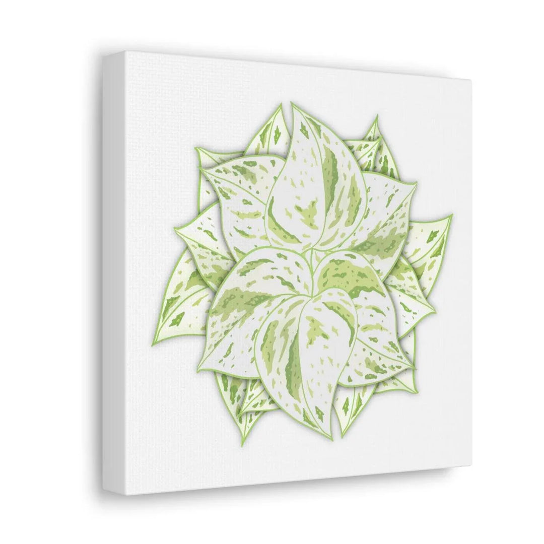 Snow Queen Pothos Canvas – Variegated Leaf Canvas Art Print | Durable Cotton - Laura Christine Photography & Design