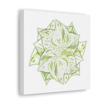 Snow Queen Pothos Canvas, Canvas, Laura Christine Photography & Design, Art & Wall Decor, Canvas, Hanging Hardware, Home & Living, Indoor, Laura Christine Photography & Design, 