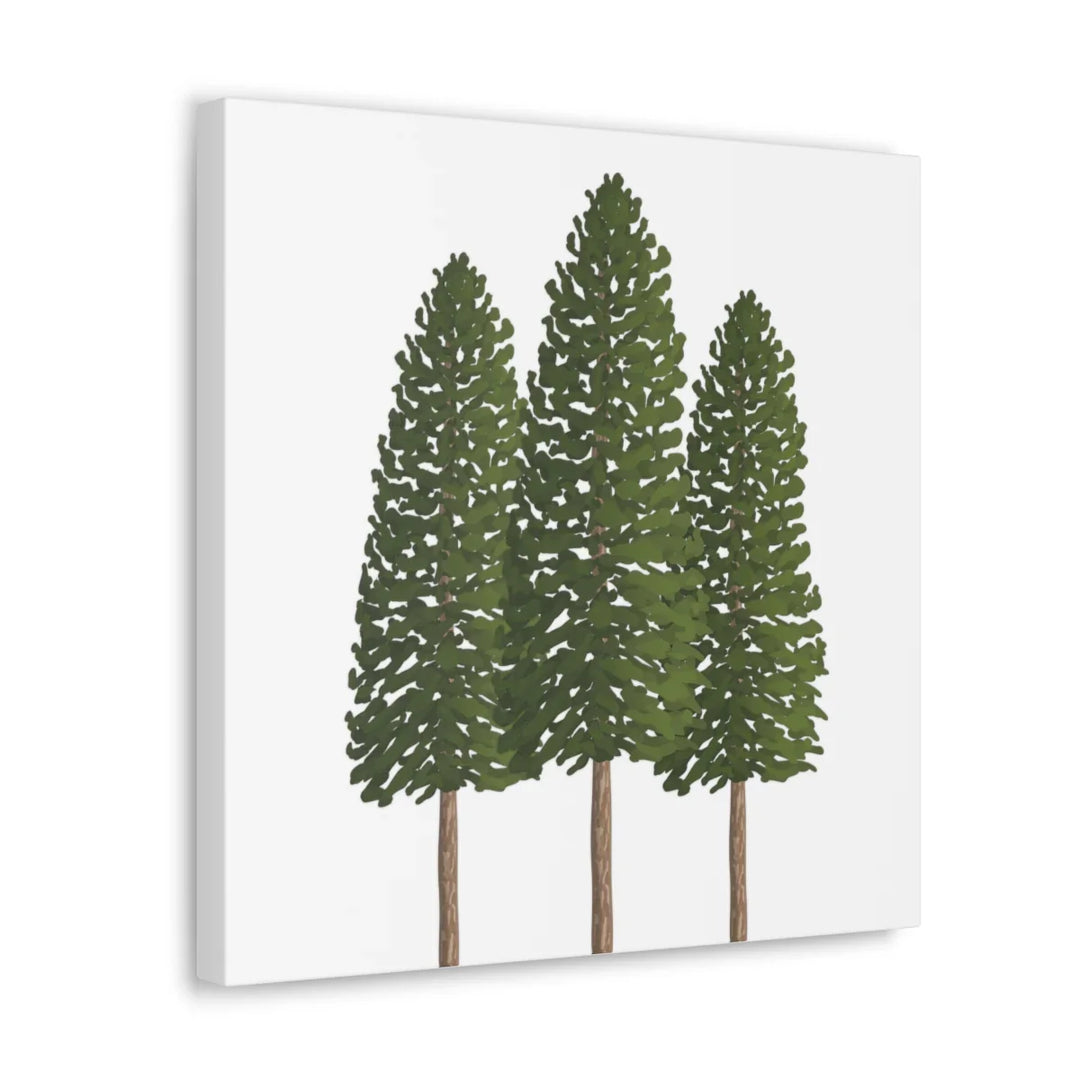 Ponderosa Pine Canvas - Large Stretched Cotton Canvas Art Print With Matte Finish