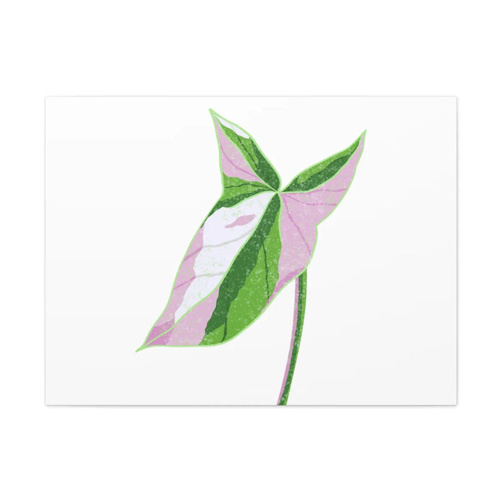 Syngonium Tricolor Canvas | Botanical Canvas Art Print With Matte Finish - Laura Christine Photography & Design