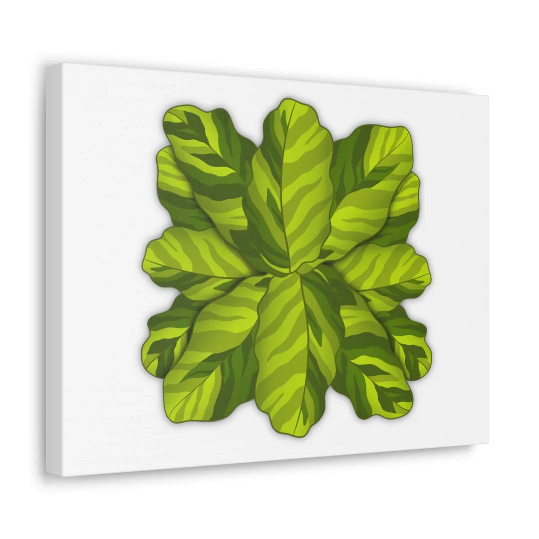 Calathea Yellow Fusion Canvas – Botanical Canvas Print With Unique Leaf Pattern Art - Laura Christine Photography & Design