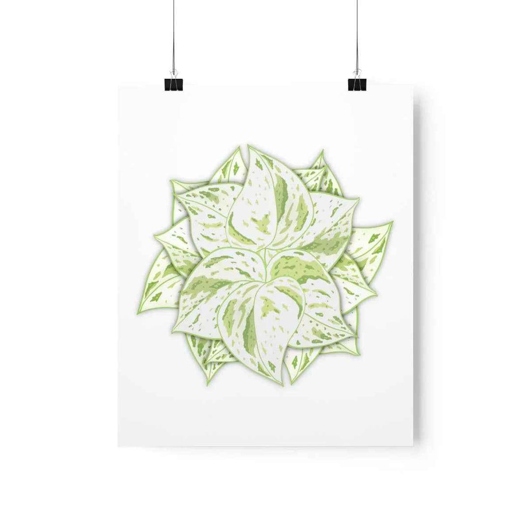 Snow Queen Pothos Print – Variegated Pothos Art on Museum Grade Paper Unframed