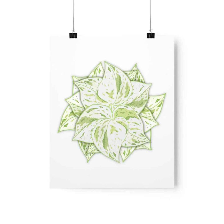 Snow Queen Pothos Print – Variegated Pothos Art on Museum Grade Paper Unframed