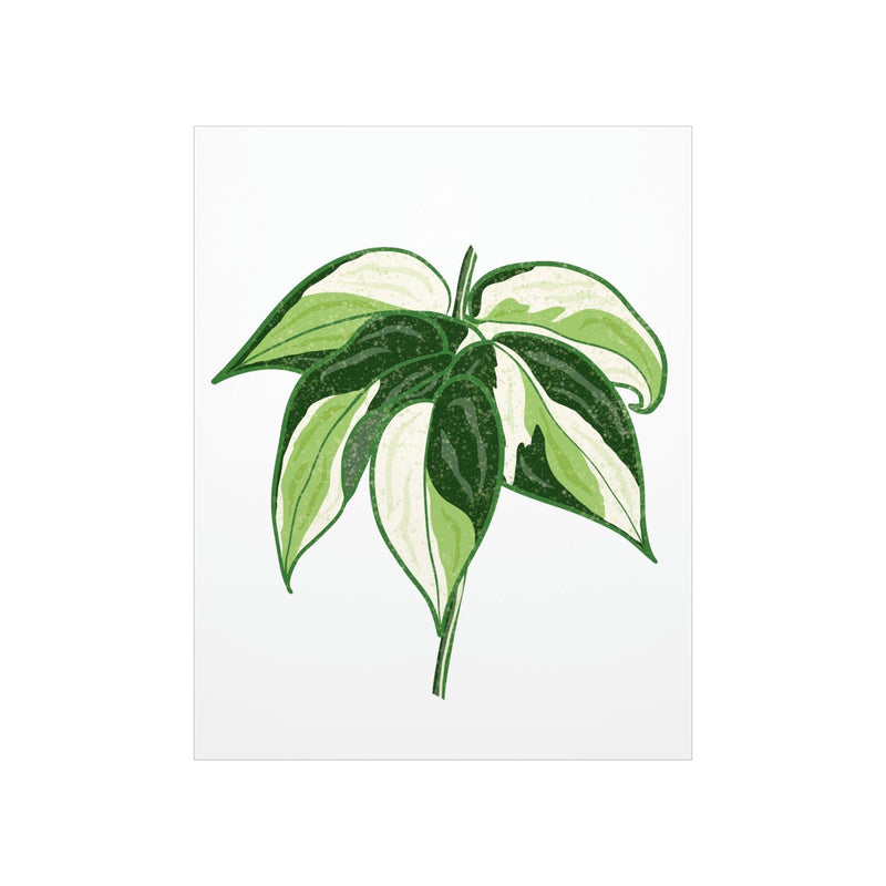 Philodendron &