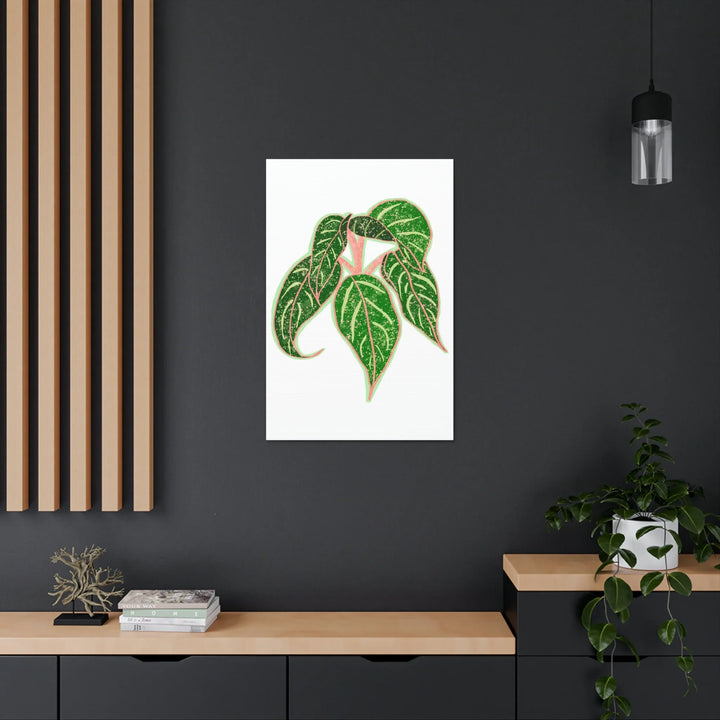 Aglaonema Plant Canvas | Sparkling Plant Artwork - Colorfast Canvas Art Print Decor