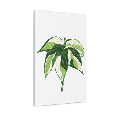 Philodendron 'Cream Splash' Canvas, Canvas, Printify, Art & Wall Decor, Canvas, Hanging Hardware, Home & Living, Indoor, Laura Christine Photography & Design, laurachristinedesign.com